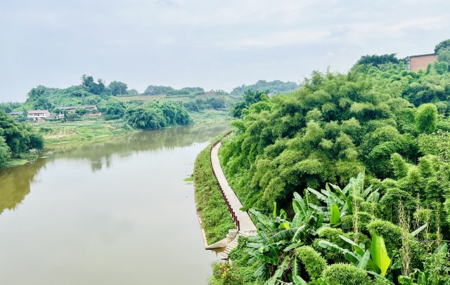 华体会hth登录入口自贡市贡井区促进水生态文化建立 打造绿色美妙故里