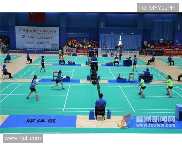 北京羽毛球队团队协作引发热议球员间配合与默契的争论与反思